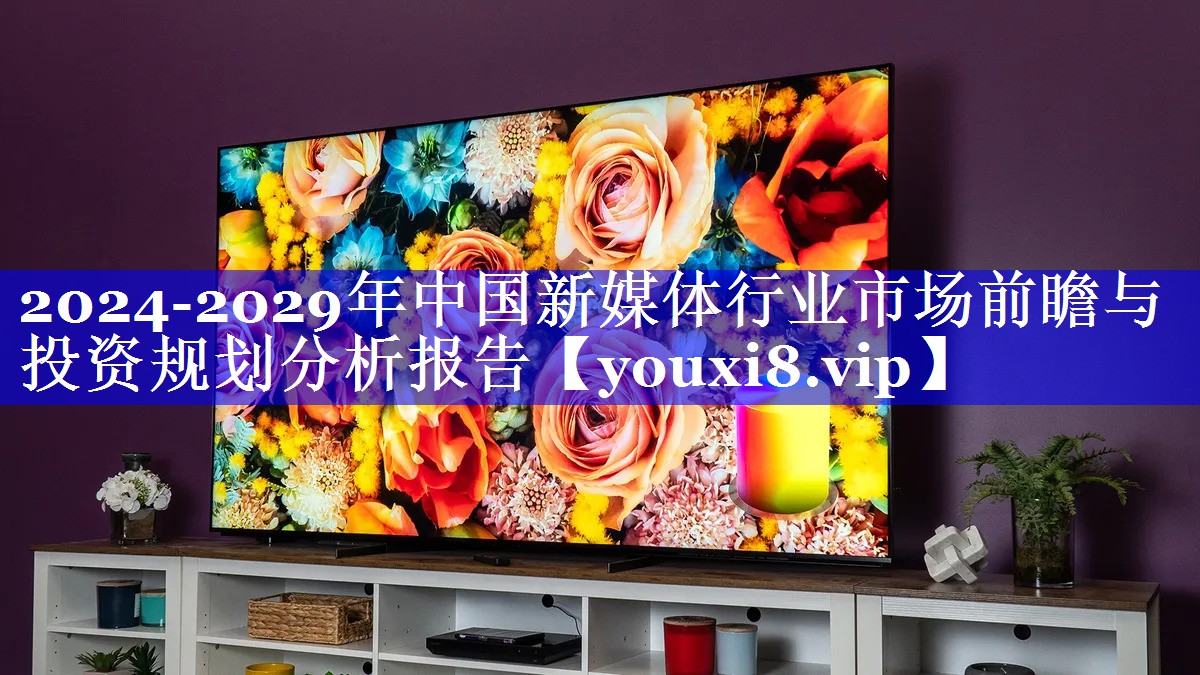 2024-2029年中国新媒体行业市场前瞻与投资规划分析报告