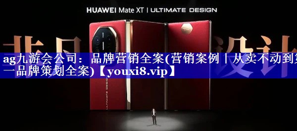 品牌营销全案(营销案例｜从卖不动到第一品牌策划全案)