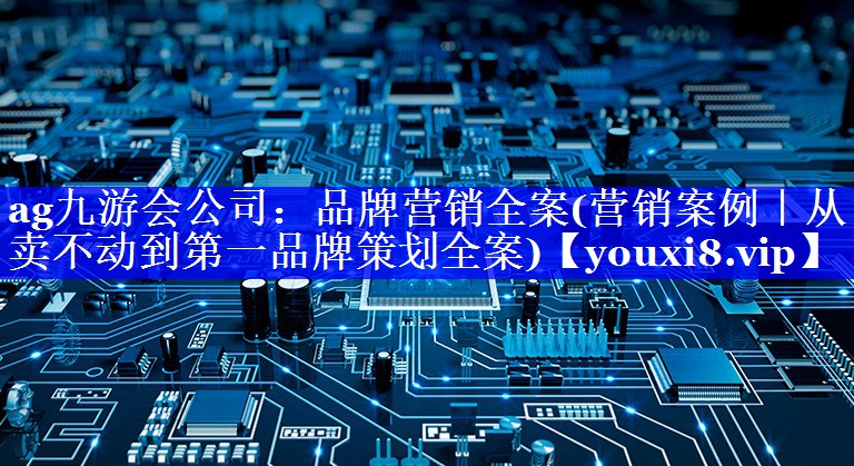品牌营销全案(营销案例｜从卖不动到第一品牌策划全案)