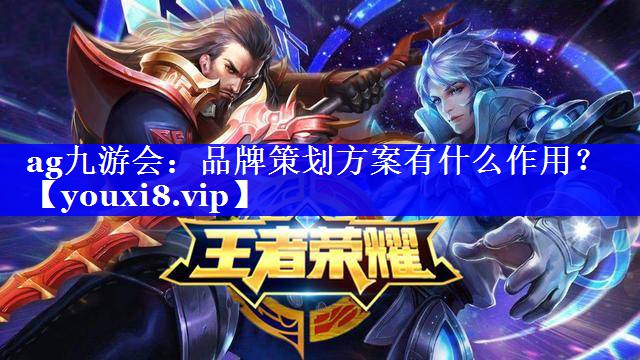 品牌策划方案有什么作用？
