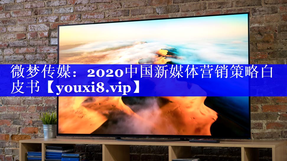 微梦传媒：2020中国新媒体营销策略白皮书