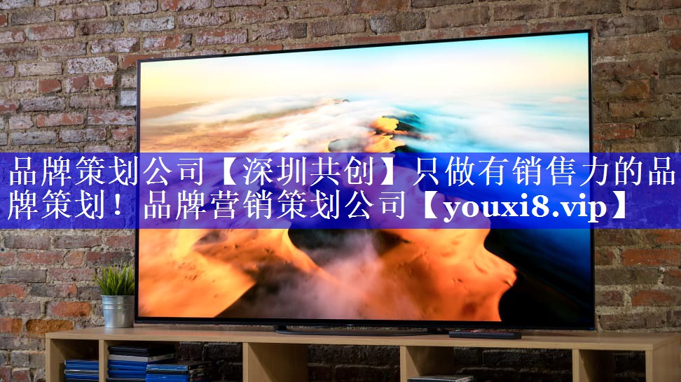 品牌策划公司【深圳共创】只做有销售力的品牌策划！品牌营销策划公司